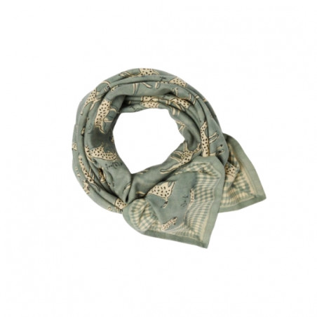 Foulard, APACHES
