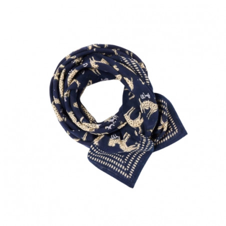 Foulard, APACHES