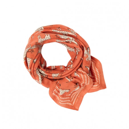 Foulard, APACHES