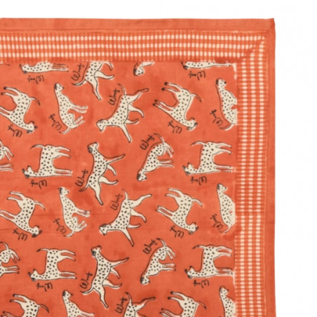 Foulard, APACHES