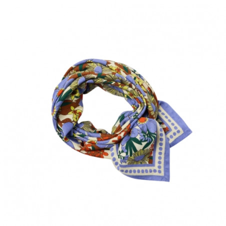 Foulard, APACHES