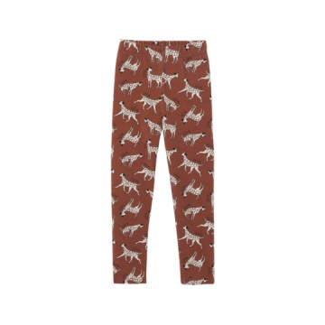 Apaches Collections :...