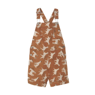 Apaches Collections :...