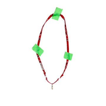 Maison Saussure : Cordon de...