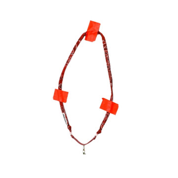 Maison Saussure : Cordon de...