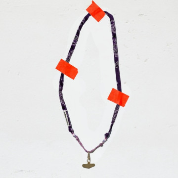 Maison Saussure : Cordon de...