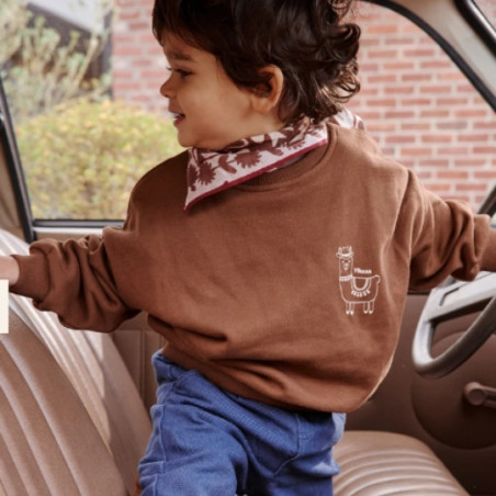 Sweat-shirt, APACHES