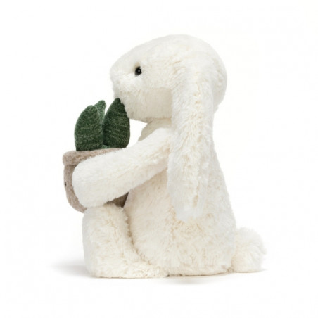 Peluche, Jellycat