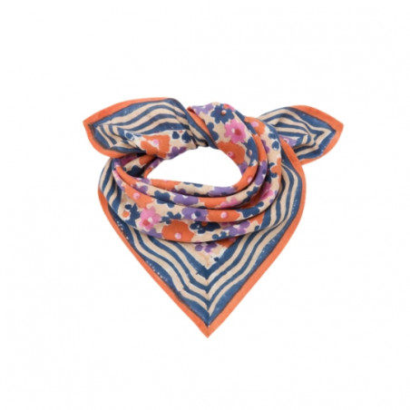 Foulard, APACHES