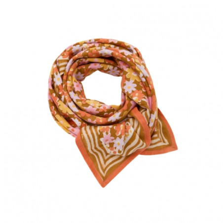 Foulard, APACHES