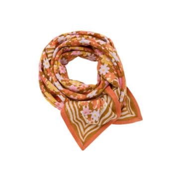 Apaches Collections : Big...