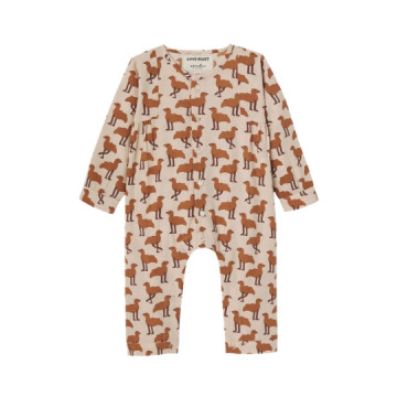 Apaches Collections :...