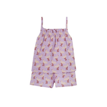 Apaches Collections : Set...