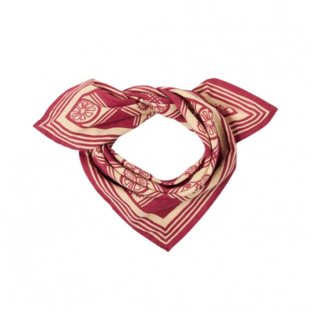 Foulard, APACHES