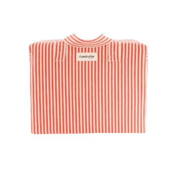 Rive droite : Sac Célestins...