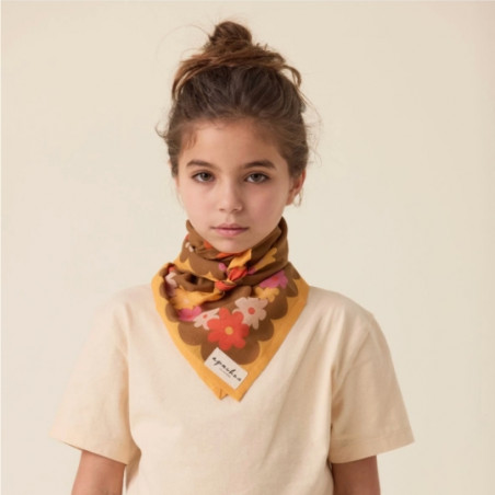 Foulard, APACHES