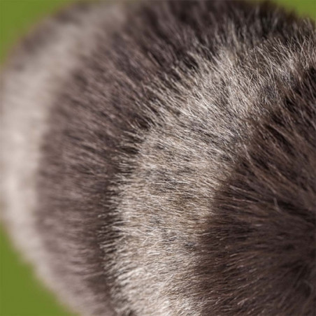 Peluche, Jellycat