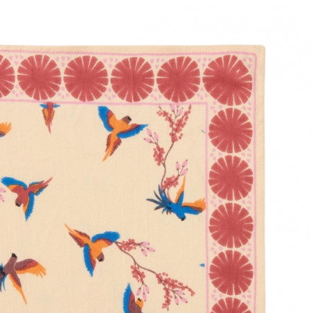 Foulard, APACHES