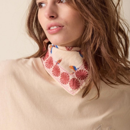 Foulard, APACHES