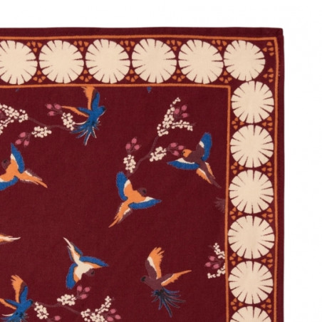 Foulard, APACHES