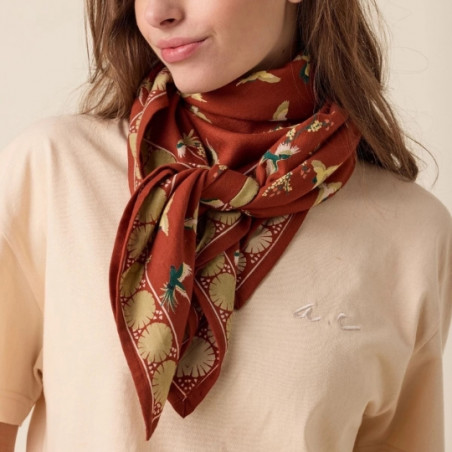 Foulard, APACHES