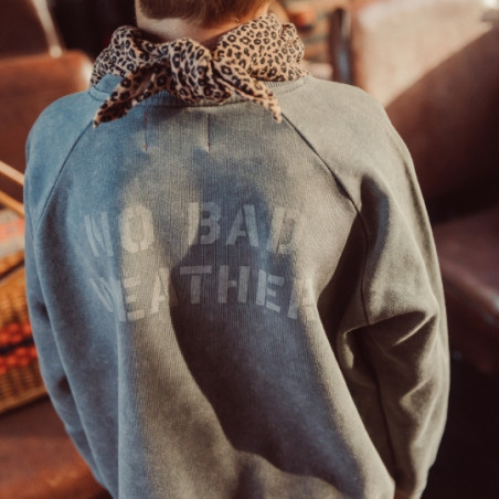 Sweat-shirt, Piupiuchick