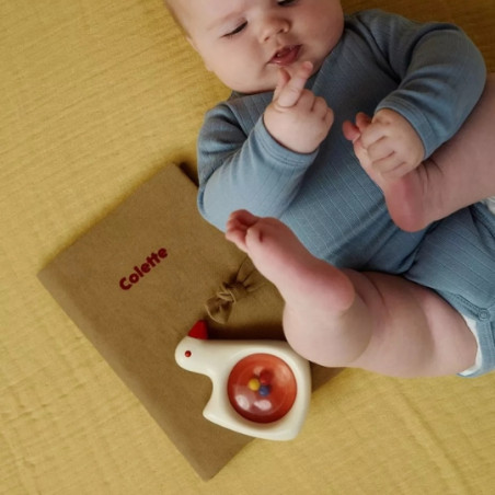 Protège-carnet de santé, PETIT PICOTIN