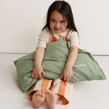 Coussin, PETIT PICOTIN