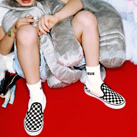 Baskets, VANS